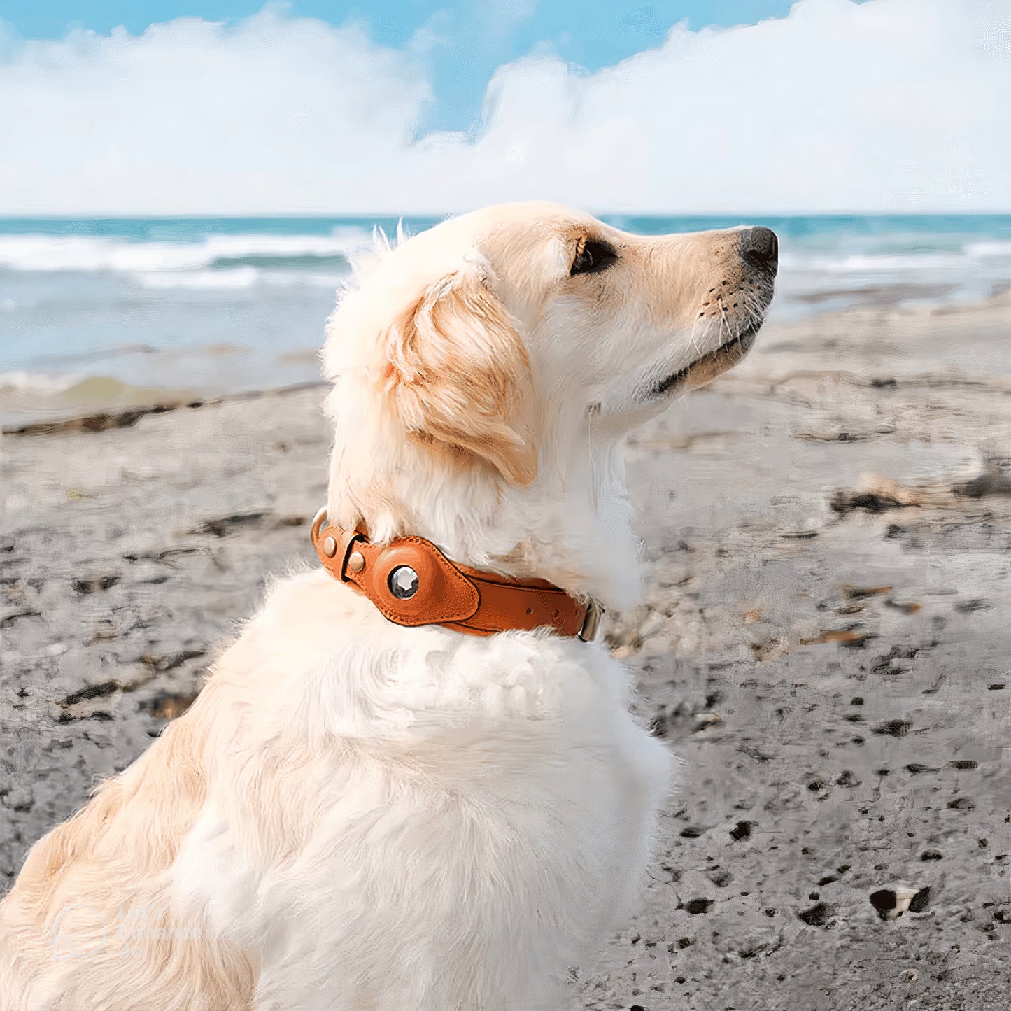 LEATHER AIRTAG DOG DOLLAR