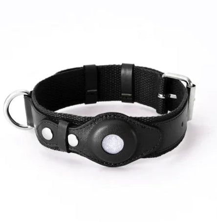 LEATHER AIRTAG DOG DOLLAR