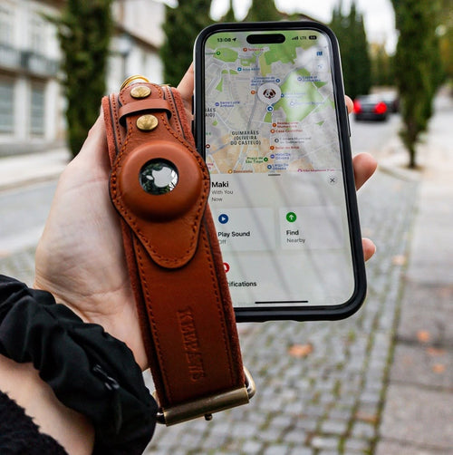 LEATHER AIRTAG DOG DOLLAR