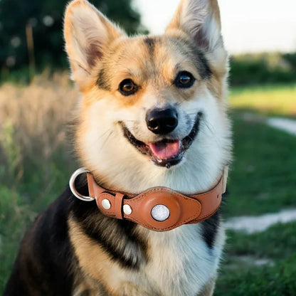LEATHER AIRTAG DOG DOLLAR