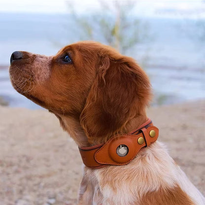 LEATHER AIRTAG DOG DOLLAR