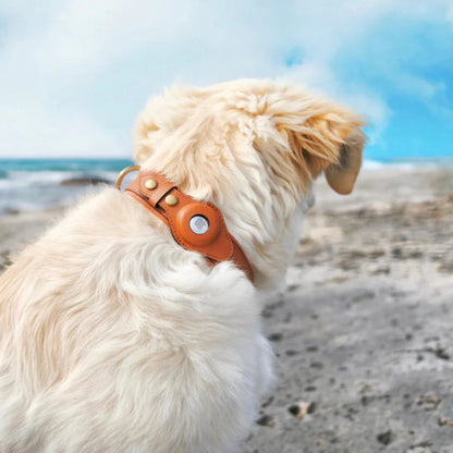 LEATHER AIRTAG DOG DOLLAR