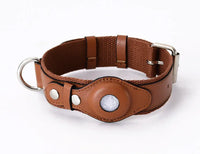 Bear Brown